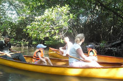 Excursión en canoa de Unawatuna Lagoon