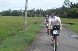 35km Excursión de un día en bicicleta de montaña en Galle