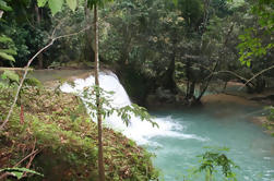 Blue Hole y Ocho Ríos desde Montego Bay