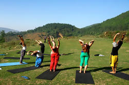 Yoga Experience Day Trip met privé-transfer van Kathmandu