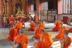 Private Tour: Stad en tempels van Chiang Mai