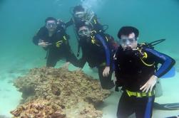 Excursion d'une journée à Cham Island avec plongée sous-marine