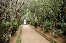 Full-Day Bike Tour of Hue's Aristocratic Garden Houses