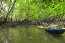 Demi-journée Krabi Ao Tha Lane Réserve naturelle en kayak incluant le déjeuner