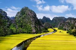 Hele dag tour naar Hoa Lu - Tam Coc in Ninh Binh