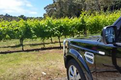 Melbourne Shore Excursion: Small-Group Yarra Valley Wine Tasting Day Trip