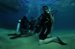 Discover Scuba Diving