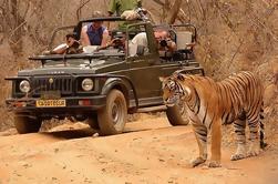 Private Tour: 2-Day Ranthambore National Park from Jaipur