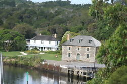 Paihia Shore Excursion: Excursión privada de Half-Day Bay of Islands