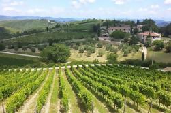 Private Tour: Chianti Region Tour by Minivan