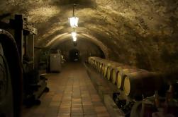Excursion d'une journée de dégustation de vins de Prague à Melnik