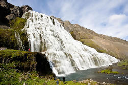 Isafjordur Shore Excursion: Excursión de la cascada de Dynjandi