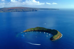 Molokini Snorkeling Aventura