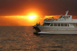 Crucero de cena al atardecer a bordo del Quicksilver