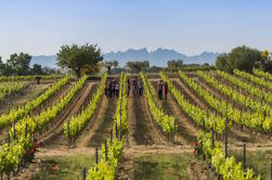 Weingut-Tour mit privatem Luxusfahrzeug aus Barcelona