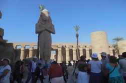 Visita guiada privada a East Bank, incluyendo Karnak y los templos de Luxor