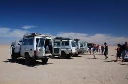 Beduino barbacoa en el desierto egipcio de Hurghada