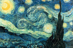 Private Tour: Skip-the-line di Van Gogh Museum di Amsterdam Visita guidata