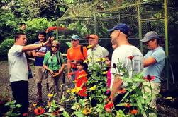 Wildlife Rescue Center Tour in Costa Rica