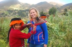 Privé: Pisac, Ollantaytambo et Amaru Communauté