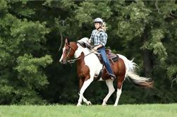 Excursión a caballo en las Montañas Ródope desde Plovdiv