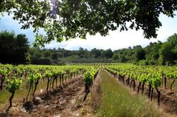 Excursão privada da rota pequena do vinho dos Cárpatos com o castelo vermelho da pedra