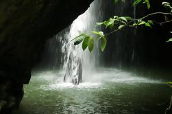 Excursión de senderismo del Parque Nacional Springbrook incluyendo el puente natural de la Costa de Oro