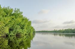 Nichupte Lagoon Boat Aventure