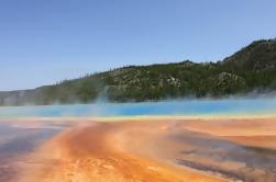 Yellowstone Upper y Lower Loop Tours