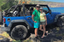 Jeep Tour: Custom Big Island Adventure