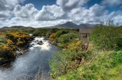 Connemara og Galway Dagstur fra Dublin