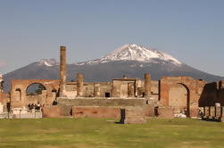 Hele dag kleine groep Pompeii Tour van Sorrento met Local Wine Tasting