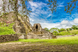 Excursão privada de Altun Ha e Zoológico de Belize