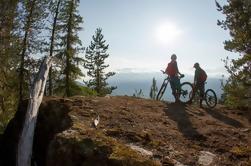 Tour en bicicleta de montaña de medio día de Whistler