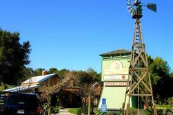 Tournée de dégustation de vins de Cambria et de San Simeon