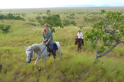 Cabalgatas en Lethem Savanna