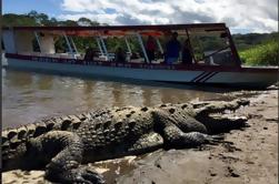 Krokodil-Mann-Tour von Jaco