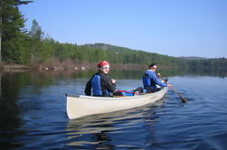 Viaje de Canoa en el Parque Algonquin de 4 Días