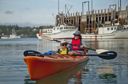 Kayak Eco Tour sur la baie de Fundy