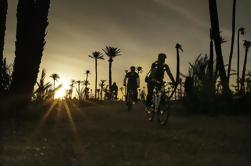 Il Palmery Off-Road Bike Tour da Marrakech