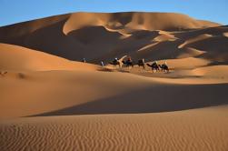 Übernachtung von Marrakesch nach Zagora