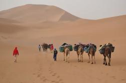 Tour Privado: Excursión de 5 noches al Sahara Explorer