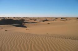 Visite Privée: Tour Sahara Marocain de 4 jours
