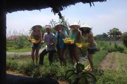 Aula De Culinária Saudável De Fazenda-À-Mesa Da Cidade De Ho Chi Minh