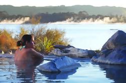 Tauranga Shore Excursion: Rotorua, Te Puia en Polynesian Spa Tour