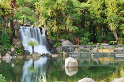 Excursie: Te Puia en Rainbow Springs van Tauranga