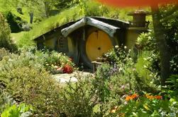 Full-Day Shore Excursion: Hobbiton and Te Puia Combo