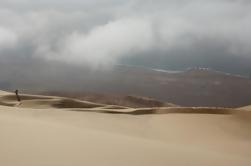 Sandboard de demi-journée avec Sunset Picnic