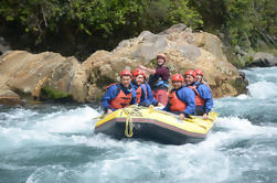 Tongariro River White Water Rafting Adventure from Taupo