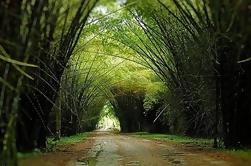 Jardín Botánico Lancetilla de Tela